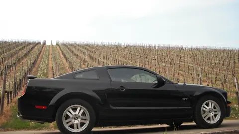 Ford Mustang GT in Schwarz vor Weinbergen